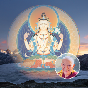 2024 Swiss, Italian & Austrian Dharma Festival - in-person or Online